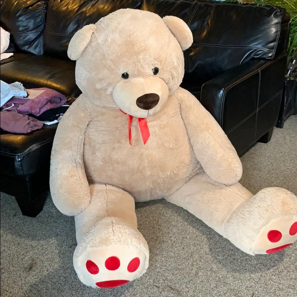 Large Teddy Bear